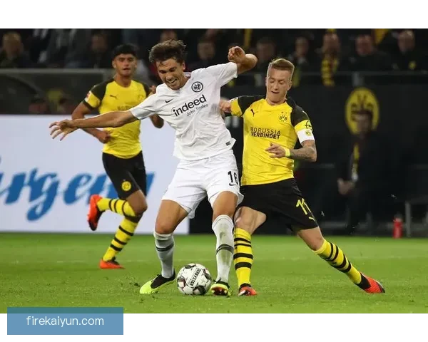 法兰克福逼抢体系表现稳健，球队竞争力增强引发关注